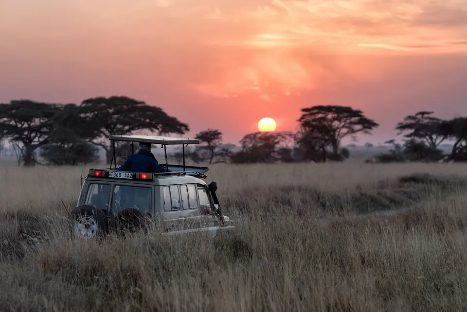 Safari vehicle in open grassland as the sun sets behind acacia trees